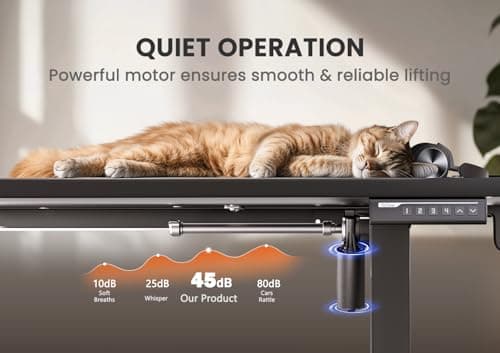 ErGear Electric Standing Desk, 48" x 24" Height Adjustable Desk, Computer Desk with 4 Memory Smart Pannel, Home Office Desk with Splice Board 7