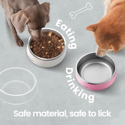 Pawaii Dog Bowl, 34 oz Double-Wall Stainless Steel Food and Water Bowl, Non-Slip Rubber Base, Dishwasher Safe, ID Tag Included, (1 Pack) 8