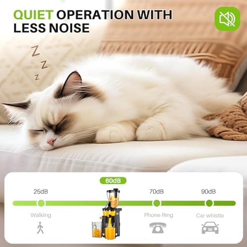 Cold Press Juicer Machines, 300W Slow Masticating Juicer Machines with 3.5inch (89mm) Large Feed Chute, Slow Cold Press Juicer Machines Vegetable and Fruit, Reverse Function Easy to Clean with Brush 7