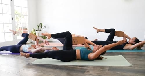 YOGA BLOCKS (ROOT premium Cork Yoga Block (single)), BAMBOO 8