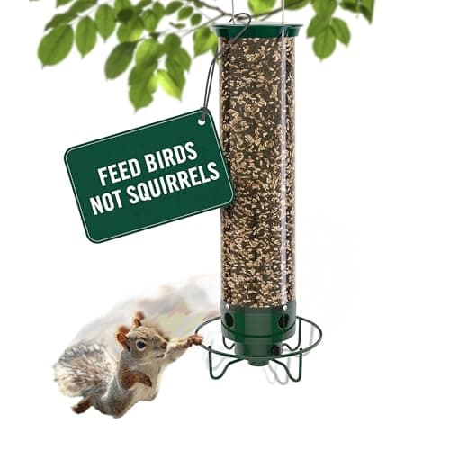 Droll Yankees Squirrel Proof Bird Feeders for Outdoors - YF-M - Flipper, Collapsible Perches, 5-Pound Seed Capacity, Green