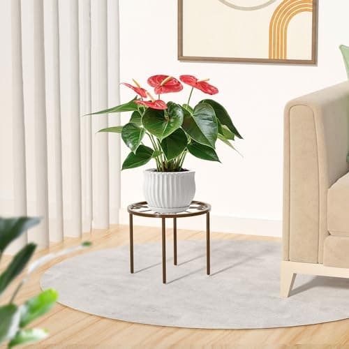 bussdis 1 PCS Plant Stand,-Heavy Duty Metal Stand Decorates Plants, Anti-Rust Flower Pot Stand, Round Plant Rack for Room Indoor and Outdoor Courtyard,Gardens, Brown. 6