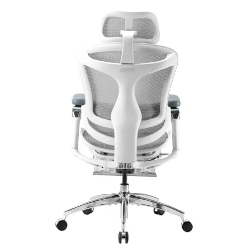 SIHOO Ergonomic Office Chair with Ultra-Soft 6D Armrests, Dynamic Lumbar Support, and Seat Depth Adjustment for Office
