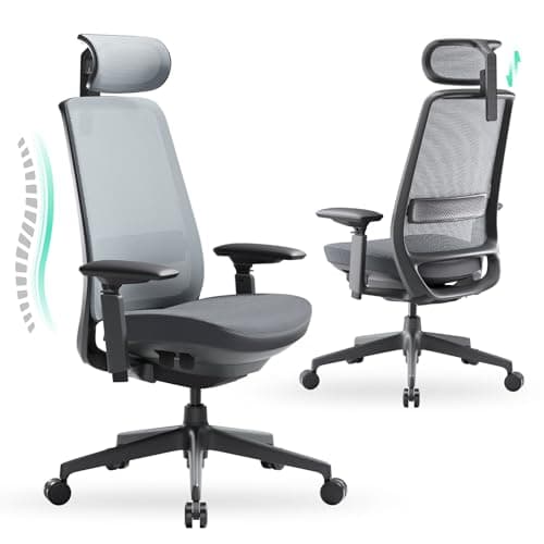 COLAMY Ergonomic Office Chair, High Back Computer Executive Desk Chair with Lumbar Support, Adjustable Headrest and 4D Arms, Slide Seat-BlackGrey