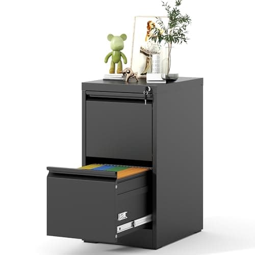 VIYET 2 Drawer File Cabinet, Vertical File Cabinets with Lock for Home Office,Heavy Duty Office Steel Filing Cabinet for Hanging Letters/Legal/A4, Assembly Required (Black)