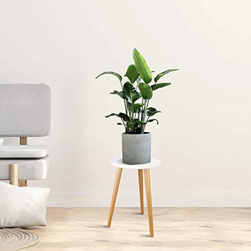 Uneedem Wood Mid Century Plant Stand for Indoor Plants, Modern Table, Tall Holder for Flower Pots, Small Round Side/End Table(A2 White, High: 16.5") 7