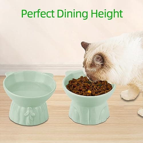 Elevated Cat Bowls 2-Pack, Ceramic Raised Cat Food & Water Dishes - Extra Wide & Shallow Whisker-Friendly Design, Anti-Vomit & Easy Digestion, Lead/Cadmium-Free, Microwave & Dishwasher Safe (Green) 6