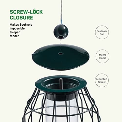 Squirrel Resistant Bird Feeders 22 oz. Bird Feeder with 4 Perches for Small Backyard Birds ONLY. Bird Feeder Squirrel Proof/Chew Proof/Rustproof. Fill with Wild Bird Seed for Outside Feeders 9