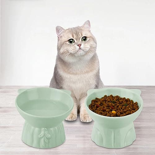 Elevated Cat Bowls 2-Pack, Ceramic Raised Cat Food & Water Dishes - Extra Wide & Shallow Whisker-Friendly Design, Anti-Vomit & Easy Digestion, Lead/Cadmium-Free, Microwave & Dishwasher Safe (Green) 7
