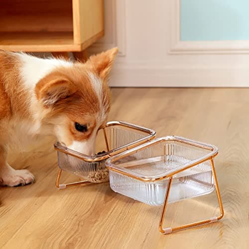 Elevated Cat Bowls, 5.5 inches Food & Water Bowls 15° Tilted Raised Food Feeding Dishes with Iron Stand for Cats and Puppy, with 2 Large Bowl and 4 Anti Slip Feet, Dishwasher Safe 6