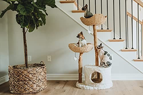 Modern Cat Tree Tower, Real Branch luxury Cat Condo, Wood Cat Tower, Cat Scratching Tree, Cat Condo, Cat Lover Gift, Luxury Cat, Cat Gifts by Mau Lifestyle 5