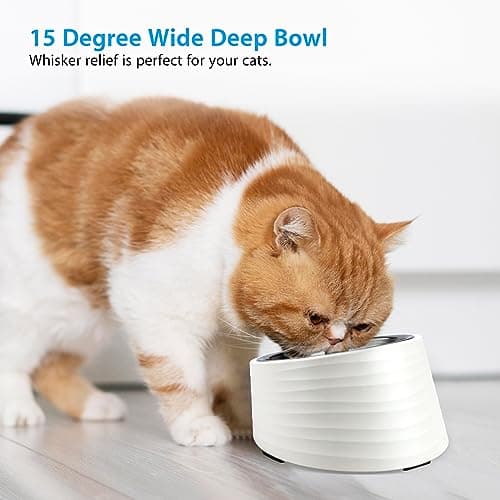 Uppetly Slanted Small Cat Food Bowl 0.5 Cup, 15° Tilted Stainless Steel Mini Dog Puppy Food Bowl, Non-Slip & Non-Spill Small Kitten Pet Feeder with Elevated Detachable Melamine Stand, Easy to Get Food 6