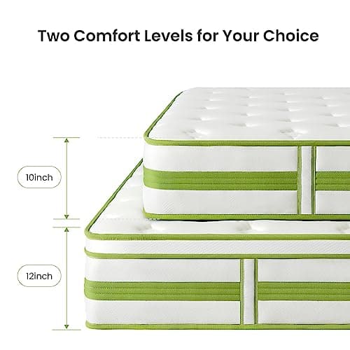 Dourxi 12 Inch Queen Mattress, Hybrid Mattress Queen in a Box, Gel Memory Foam and Pocket Springs for Cooling Sleep and Pressure Relief, Organic Cotton Fabric Cover, Plush Feel, 80 * 60 * 12 Inch 8