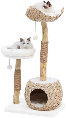 KULAMOON Modern Cat Tree Tower for Indoor Cats, Real Branch Luxury Cat Condo with Scratching Post, Jumping Platforms, Hanging Toy Ball for Multi-Cat Households