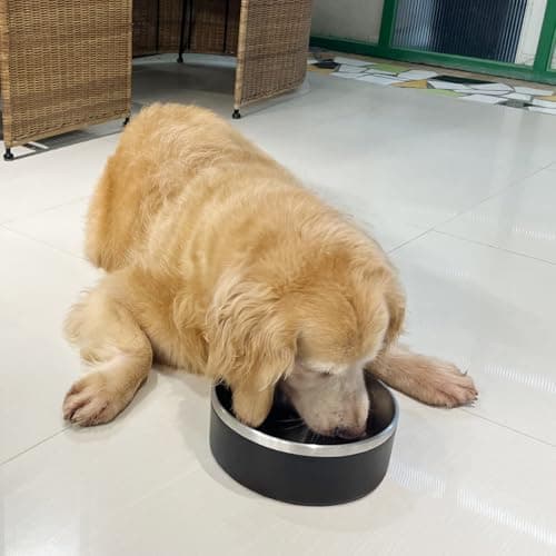 LIHOOOOM Stainless Steel Dog Bowl, Metal Water and Food Dish for Large Dogs, Insulated Non-Slip Pet Bowl, Easy Clean, 64oz, Black 6