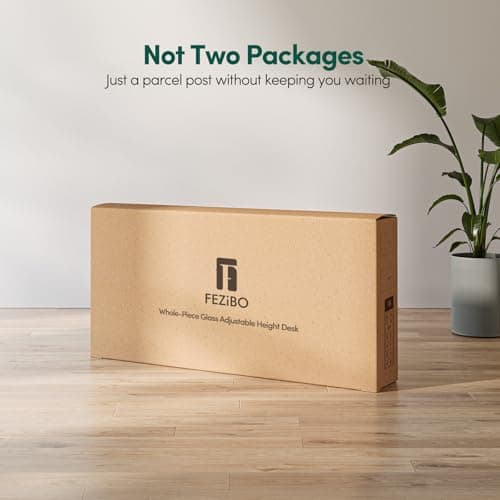 FEZIBO 48 × 24 Electric Standing Desk with Drawers, Whole-Piece Glass Adjustable Height Desk, One-Piece Quick Install Adjustable Sit Stand Desk, White 9