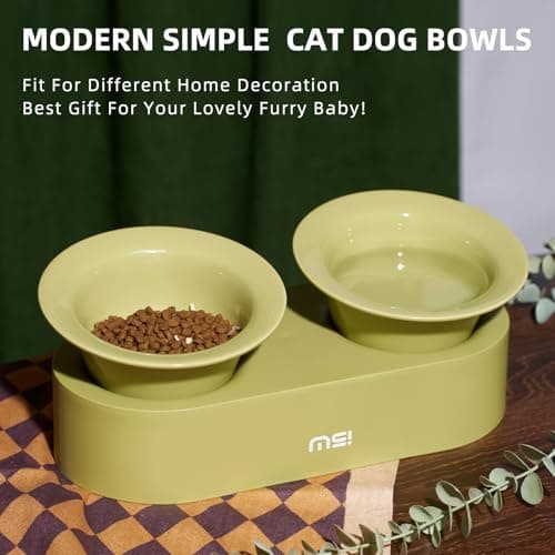 MS!MAKE SURE Raised Cat Bowls Set - Ceramic Dishes with Non-Slip Stand, 9° Tilted, Lead & Cadmium Free, for Small Dogs and Cats, 6.5" Wide - 2 x 320ML (10.8 oz), Green 6