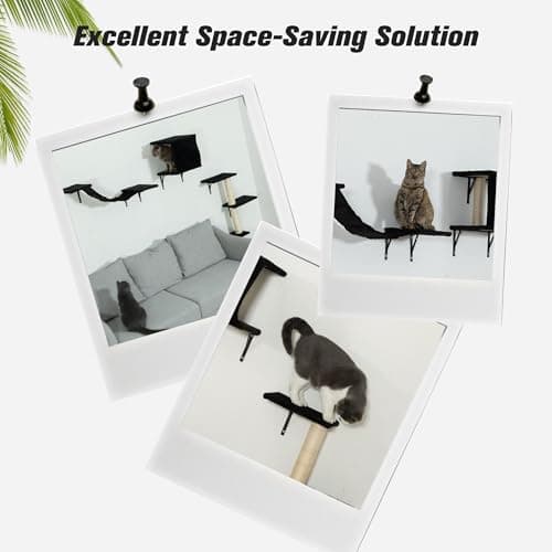 Wall Mounted Cat Furniture Set of 5 With Tree, Perch, Scratcher, Bridge and Condo, Gray (Black) 8