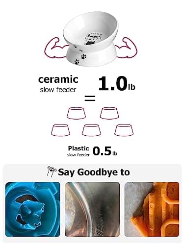 Y YHY Cat Bowl Anti Vomiting, Raised Food Bowls, Tilted Elevated Bowl, Ceramic Pet Food Bowl for Flat Faced Cats, Small Dogs, Protect Pet's Spine, Dishwasher Safe (5 Inches, White) 6