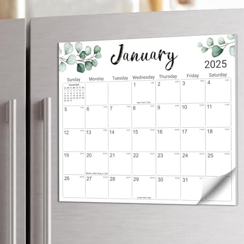 Aesthetic 2025 Magnetic Calendar for Refrigerator, Fridge Calendar Magnet Runs Until June 2026, 21 Monthly Refrigerator Calendars with Greenery Design for Easy Organizing, 2025 New Edition