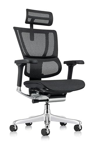 Ergohuman Eurotech ME2ERG-XTREME High Back Mesh Office Chair with Tilt Tension Control, Tilt Lock, Back Angle, Back Height, Synchro Tilt, Seat Height, Seat Depth, and Arm Height Adjustments