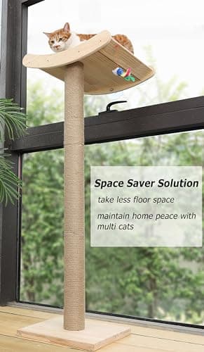 Window Cat Perch with Scratching Posts, 46" Wood Tree Bed for Maine Coon Big Cats Perching and Lounging, Mounted with 3 Strong Suction Cups (Wood Platform) 6