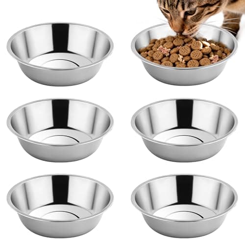 Tifanso 6PCS Stainless Steel Cat Bowls Dishes, 5.6” Metal Shallow Wide Whisker Friendly Cat Food Water Feeding Bowl, Kitten Plates, Basic Indoor Pet Food Tray, Dishwasher Safe