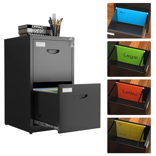 Metal 2 Drawer File Cabinet with Lock, Heavy Duty Filing Cabinet, Black Locking File Cabinet for Home Office, Vertical Steel File Storage Cabinet for Hanging Letter/Legal/A4/F4 Size-Assembly Required
