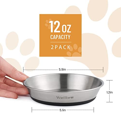 Wellbro Cat Bowls, 2 Pcs Stainless Steel Cat Bowls for Food and Water, Whisker Fatigue Shallow Non-Slip Dishes Plates for Small Dog Puppies Cats 6