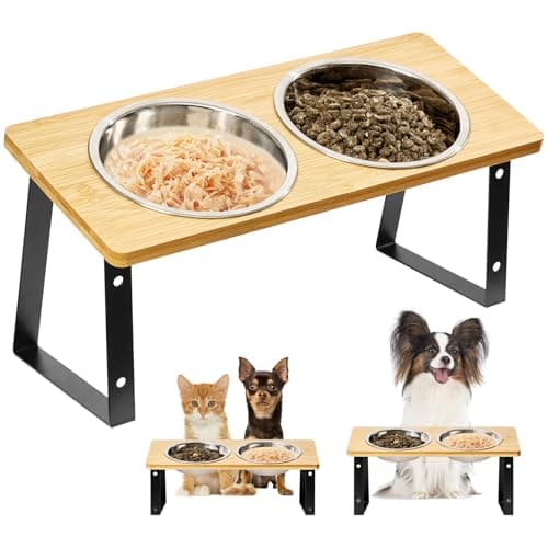 Smartoo Stainless Steel Elevated Cat Bowls - 15 Raised, Anti Vomiting, Dishwasher Safe