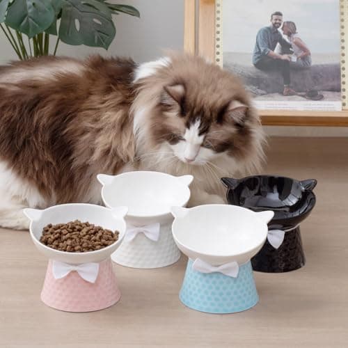 Ceramic Raised Cat Bowl with Stand and Bow Tie, Tilted Elevated Anti-Vomit Cat Dish for Whisker Relief, Microwave & Dishwasher Safe, Cute Pet Food Bowl for Cats and Small Dogs (Pink) 5