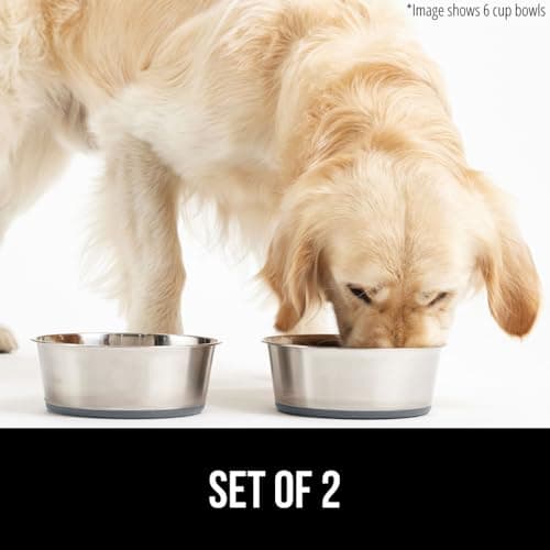GORILLA GRIP Set of 2 Dog Bowls, Food Grade Metal Food and Water Bowl for Feeding Dogs and Cats, Dishwasher Safe, Rust Resistant Stainless Steel, BPA Free Rubber Base, Holds 3 Cups (24 fl oz), Gray 7