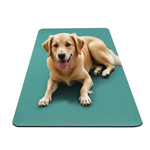 Gaiam Essentials Thick Yoga Mat Fitness & Exercise Mat With Easy-Cinch Carrier Strap, Teal, 72"L X 24"W X 2/5 Inch Thick 7
