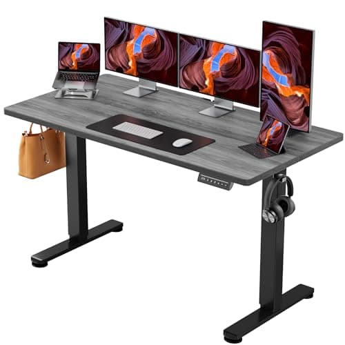 ErGear Height Adjustable Electric Standing Desk, 55 x 28 Inches Sit Stand up Desk, Memory Computer Home Office Desk, Grey