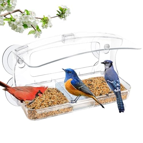 Jarkyfine Window Bird Feeder with 4 Extra Strong 2.36'' Suction Cup for Outdoors Viewing, Close-up Bird Watching Gift for Elderly Cats, Suitable for Cardinals, Finches, Bluebirds, etc.