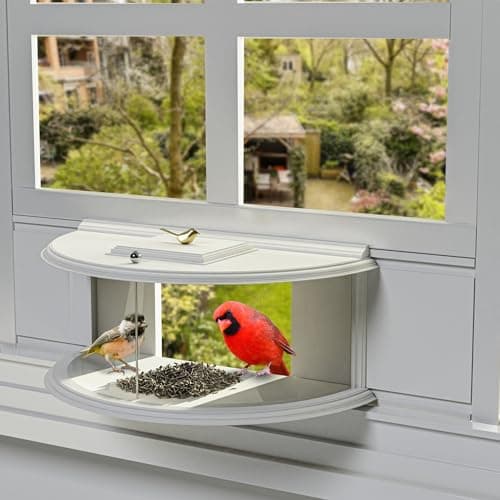 Amaprime 180 Window Bird Feeder for Ultimate Wild Bird Watching, Clear View, Indoor to Enhance Your Home/Office with Nature's Beauty by PVC