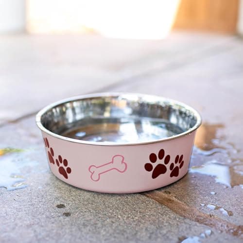 Loving Pets Bella Dog Bowls- Stainless Steel Dog & Cat Bowls - Spill Proof Dog Food Bowl, Cat Bowl, Puppy Essentials & Pet Supplies Great for Home & Travel (Medium 20-35 lbs, Paparazzi Pink) 7