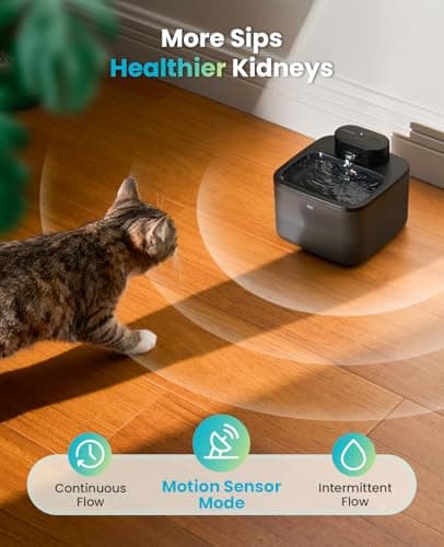 oneisall Wireless Cat Water Fountain: 74oz/2.2L Cordless Pet Water Fountains, 4000mAh Battery Operated Ultra-Quiet Integrated SilentFlow™ Pump for Cats Indoor, Automatic Cat Water Dispenser, BPA-Free 7