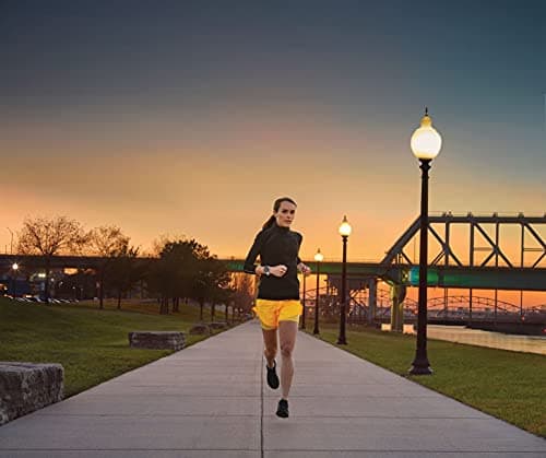 Garmin Forerunner 945 LTE, Premium GPS Running/Triathlon Smartwatch with LTE Connectivity, Whitestone 7