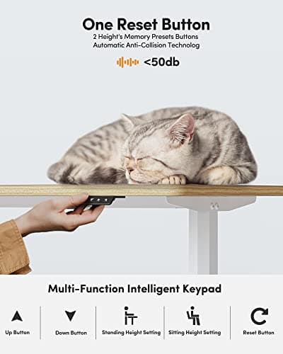 BANTI 44"x24" Standing Desk, Electric Stand up Height Adjustable Home Office Table, Sit Stand Desk, Light Rustic Brown Top 5