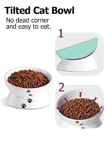 Y YHY Cat Bowl Anti Vomiting, Raised Food Bowls, Tilted Elevated Bowl, Ceramic Pet Food Bowl for Flat Faced Cats, Small Dogs, Protect Pet's Spine, Dishwasher Safe (5 Inches, White) 8