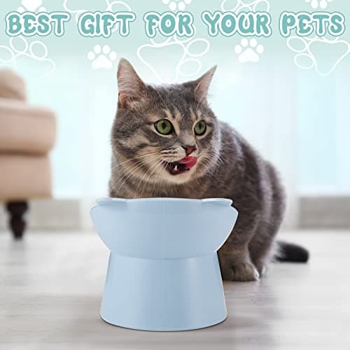Hsei 6 Pcs Raised Cat Food Bowls 15 Degrees Elevated Cat Bowls Anti Vomiting Tilted Raised Whisker Friendly Pet Dish Plastic Slanted Stand for Indoor Pet Food Water Feeder(Bright Color) 6