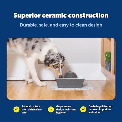 PetSafe Drinkwell Ceramic Pet Water Fountain - Quiet Automatic 70oz Dispenser for Cats & Dogs with Filters - Dishwasher Safe Square Design 6