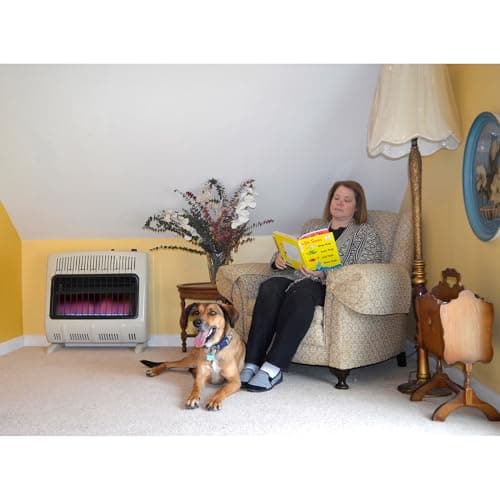 30,000 BTU Vent Free Blue Flame Propane Heater 4