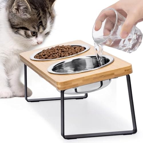 Cat Food Bowl for Indoor Cats - Elevated Stainless Steel Water Bowl, Tilted Raised Kitten Dish Set for Whisker Friendly and Anti Vomit, Feeding Station for Puppy and Pet