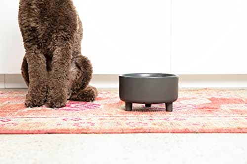 Waggo Uplift Ceramic Dog Bowl for Small Medium and Large Breeds - Heavyweight and Durable Pet Food and Water Dish Crock, Dishwasher Safe, Modern, Elevated Feeder (Black, Large) 5