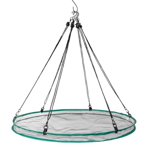 Songbird Essentials SEIA30024 Seed Hoop Seed Catcher & Platform Feeder
