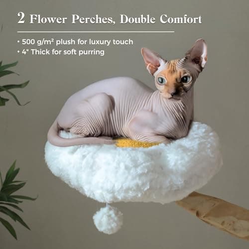 PAWZ Road Cat Tree for Indoor Cats Large Adults, 59 Inches Modern Cat Tower with Large Basket and Hammock, Natural Solid Wood, Luxury Condo & Dual Perches, Modern Cat Furniture for Big Cats, White 8