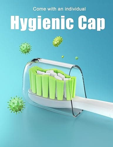 Toothbrush Replacement Heads for Philips Sonicare Diamondclean Series Click-on Electric Brush Handle, 8 Pcs, Green 6