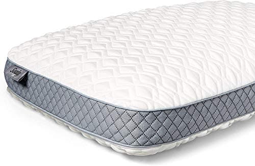 Sealy Memory Foam Bed Pillow